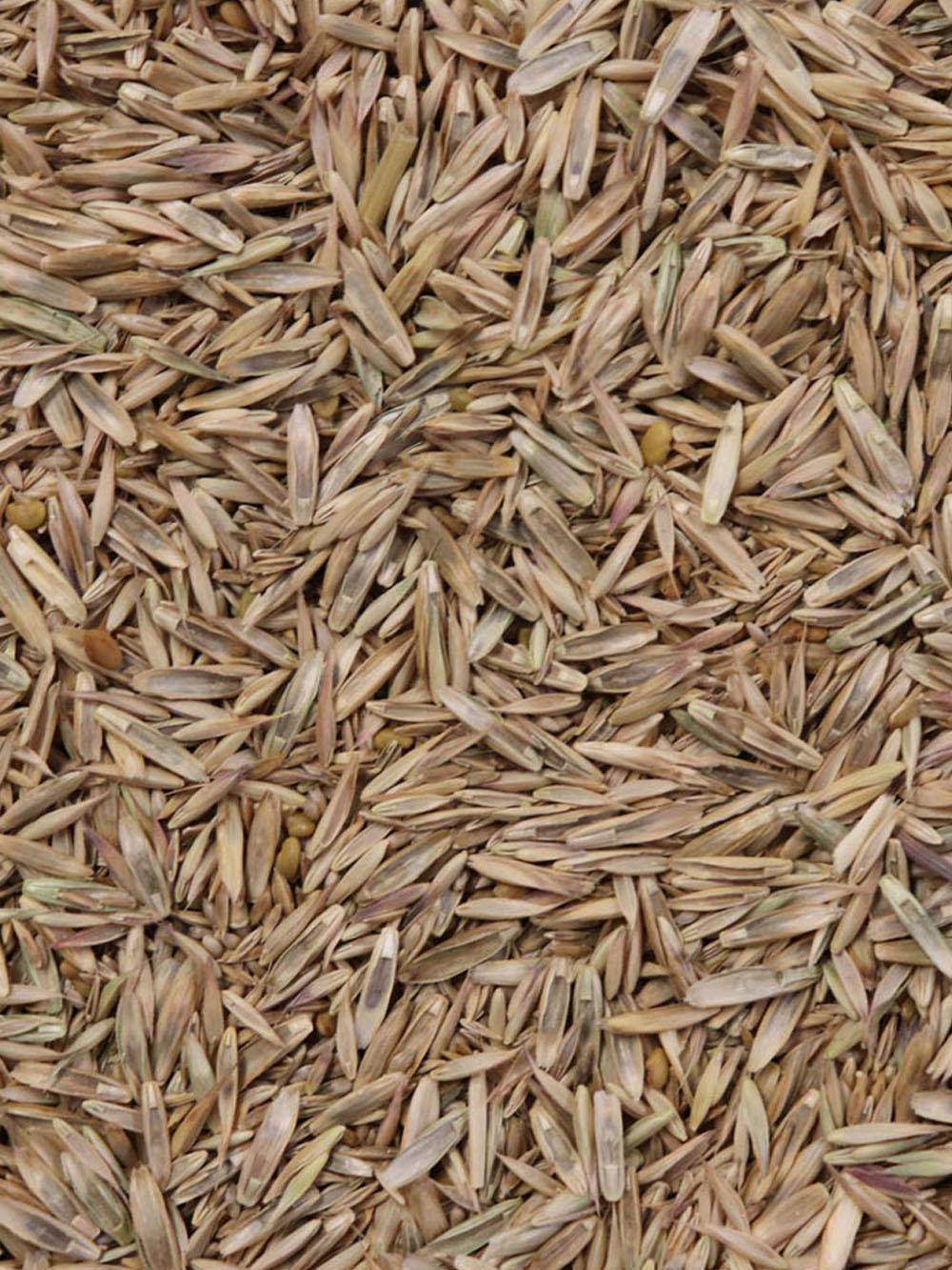 Beef Mix